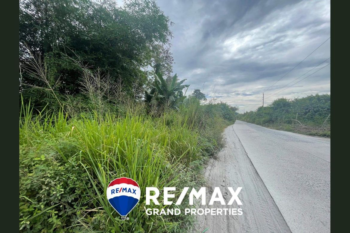Land for Sale in Babo Sacan, Porac, Pampanga – photo 3