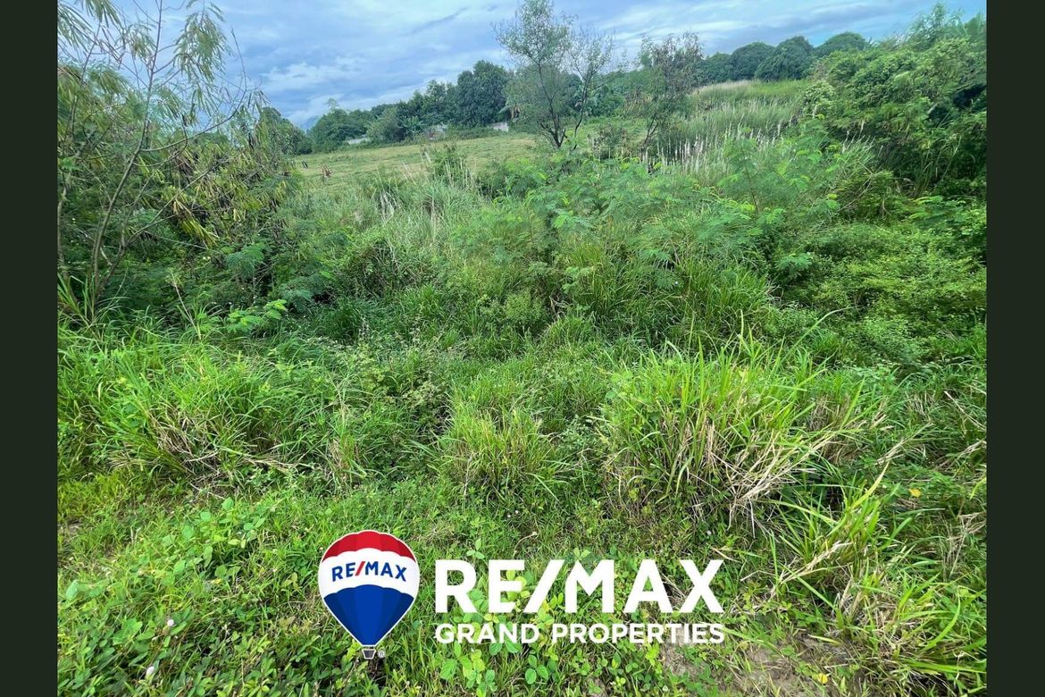 Land for Sale in Babo Sacan, Porac, Pampanga – photo 6