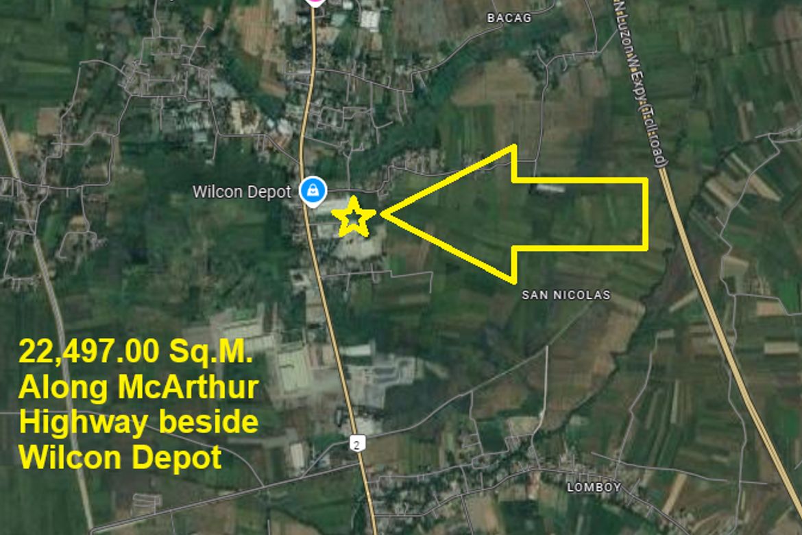 Land for Sale in Bacag, Villasis, Pangasinan – photo 5