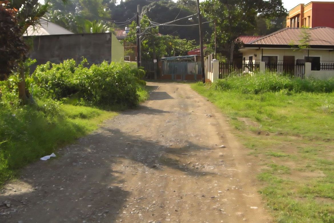 Land for Sale in Bacayan, Cebu City, Cebu – photo 2