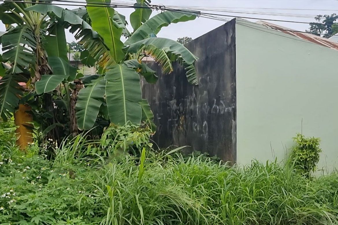 Land for Sale in Bacayan, Cebu City, Cebu – photo 5