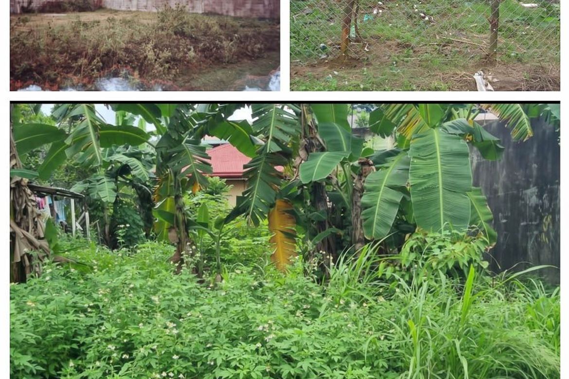 Land for Sale in Bacayan, Cebu City, Cebu – photo 7
