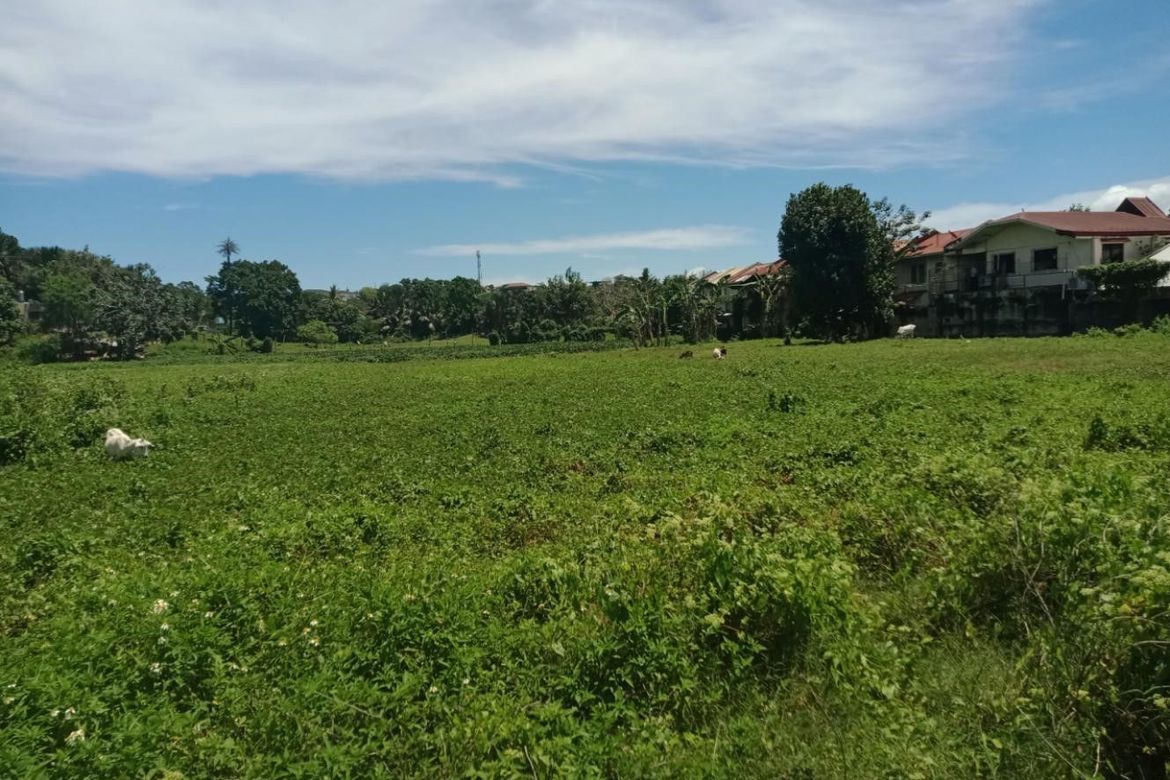 Land for Sale in Bacayan, Cebu City, Cebu