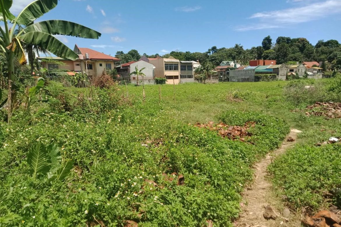 Land for Sale in Bacayan, Cebu City, Cebu – photo 5