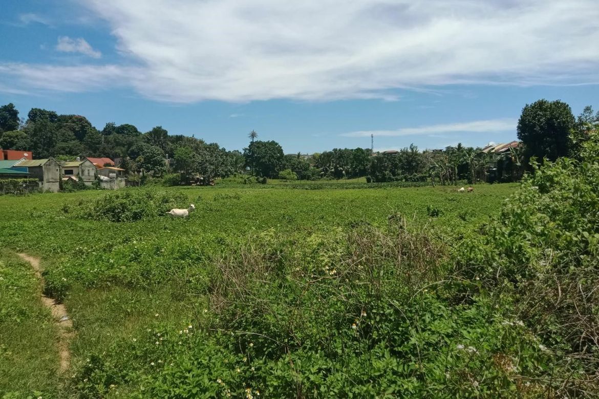Land for Sale in Bacayan, Cebu City, Cebu – photo 6