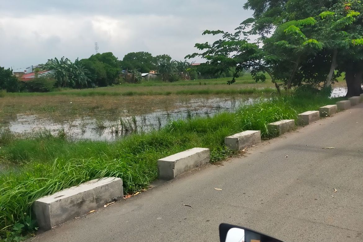 Land for Sale in Baclaran, Cabuyao, Laguna – photo 3