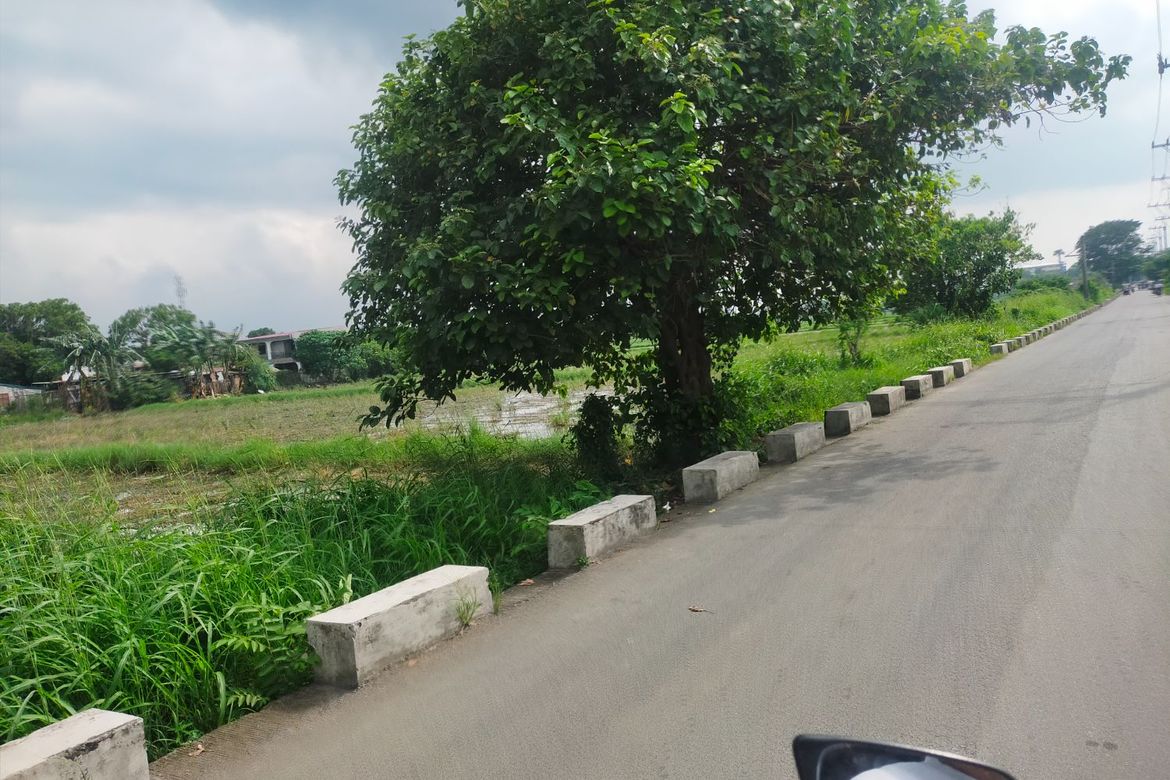 Land for Sale in Baclaran, Cabuyao, Laguna – photo 6