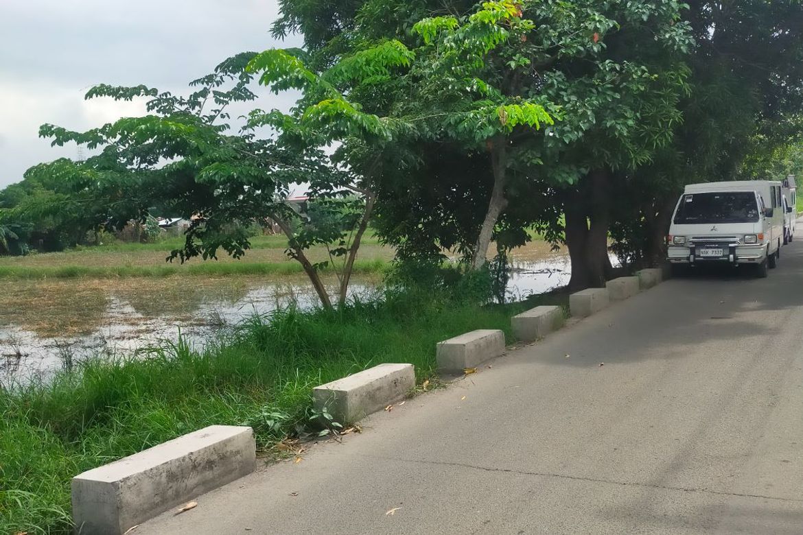 Land for Sale in Baclaran, Cabuyao, Laguna – photo 7
