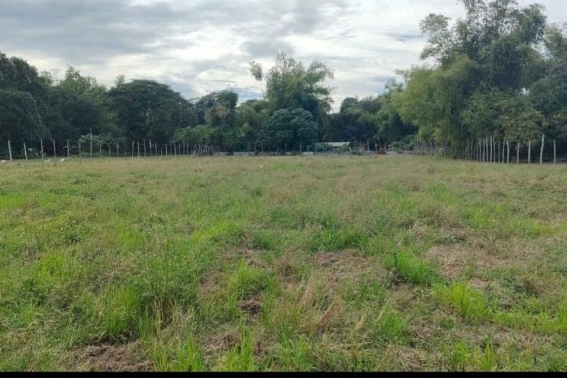 Land for Sale in Bacnar, San Carlos, Pangasinan – photo 5