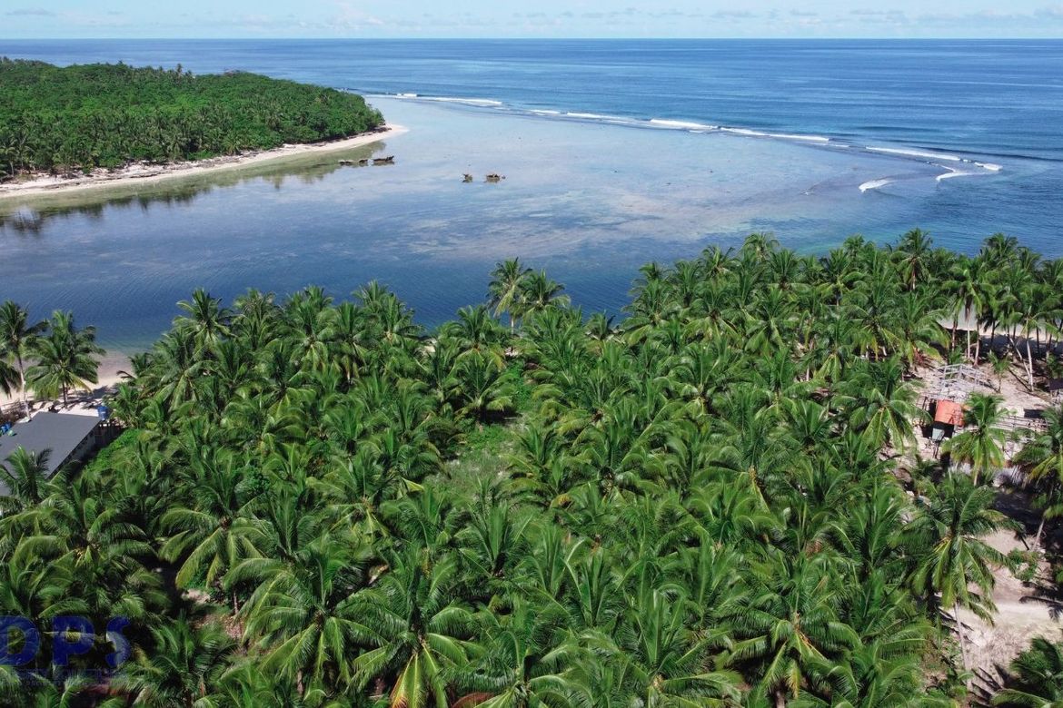 Land for Sale in Baculin, Baganga, Davao Oriental – photo 2