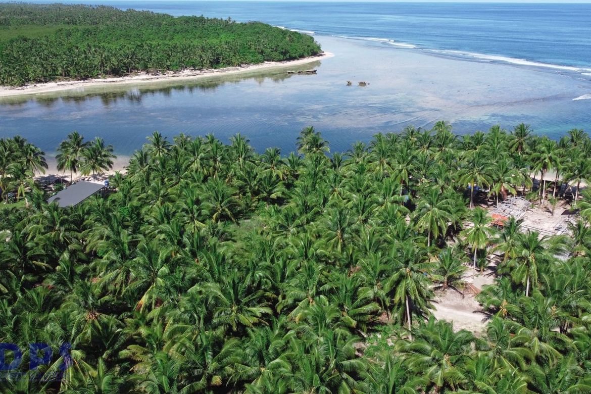 Land for Sale in Baculin, Baganga, Davao Oriental – photo 7