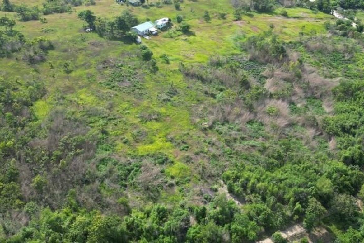 Land for Sale in Bacungan, Puerto Princesa, Palawan – photo 2