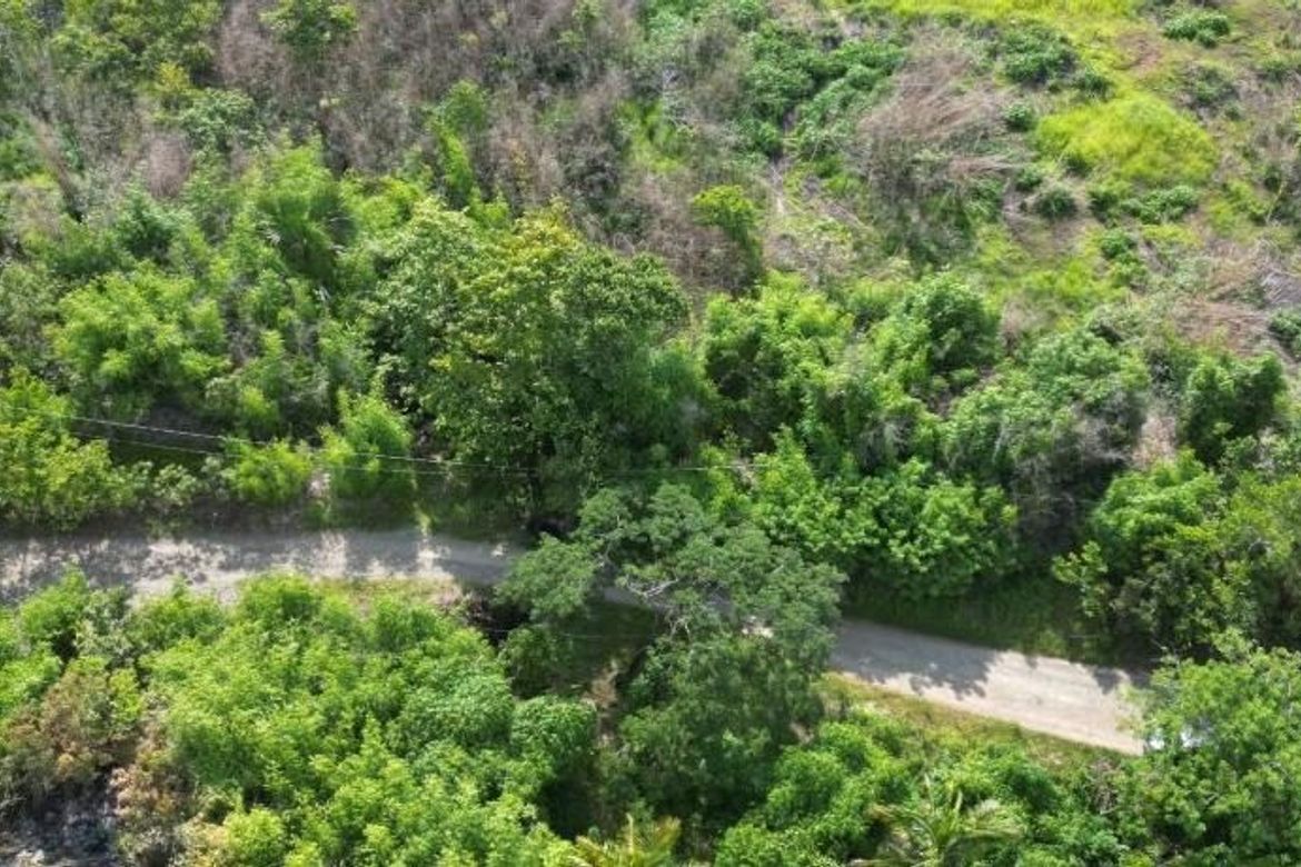 Land for Sale in Bacungan, Puerto Princesa, Palawan – photo 3