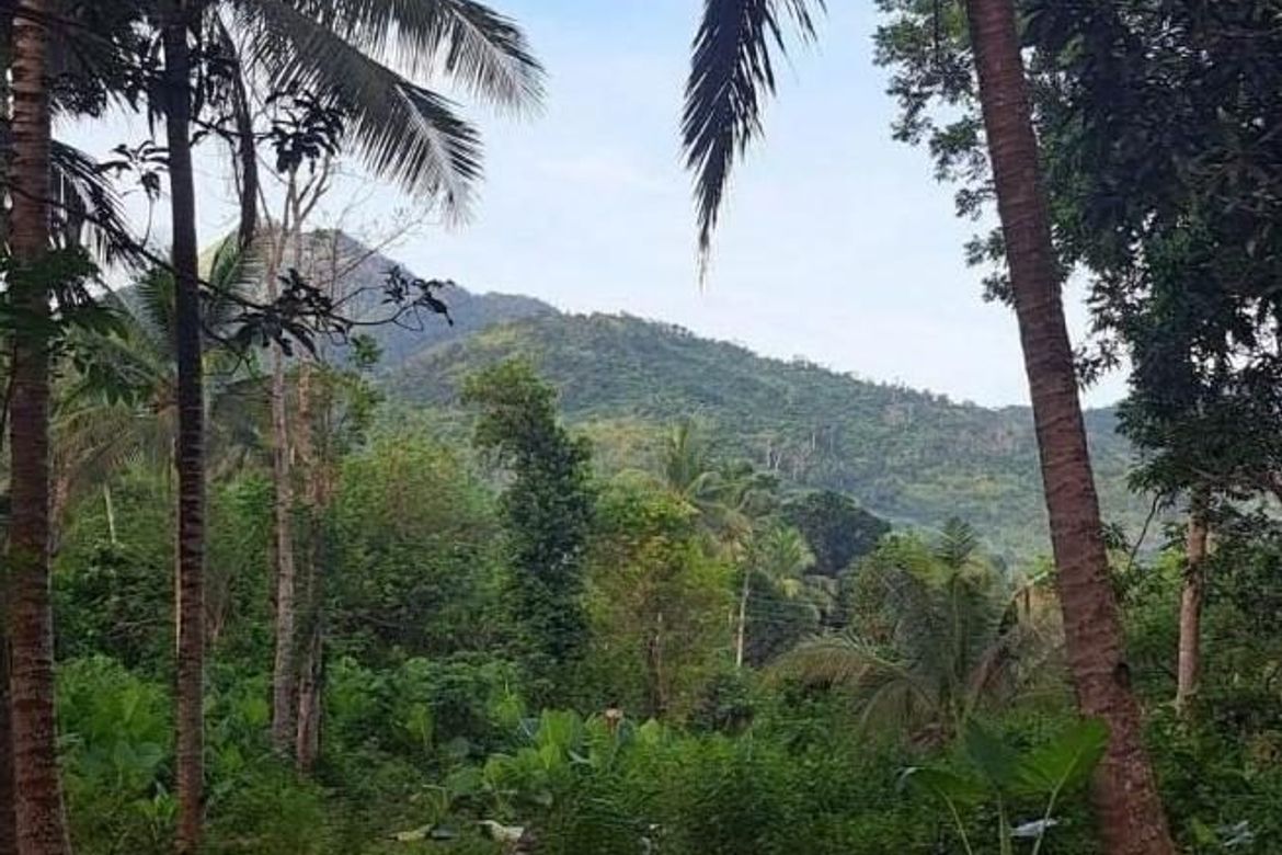 Land for Sale in Bacungan, Puerto Princesa, Palawan – photo 6