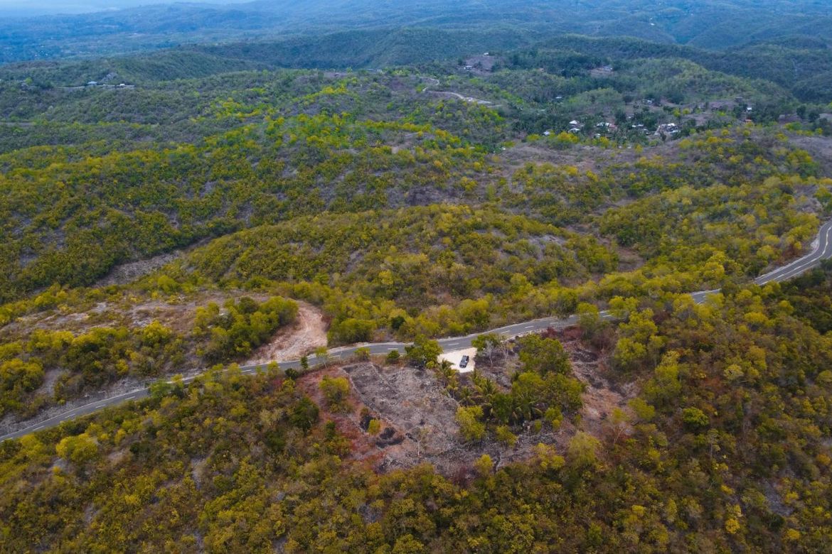 Land for Sale in Bagacay, Borbon, Cebu