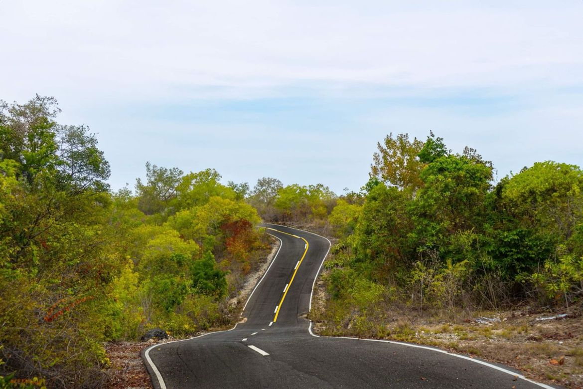 Land for Sale in Bagacay, Borbon, Cebu – photo 5