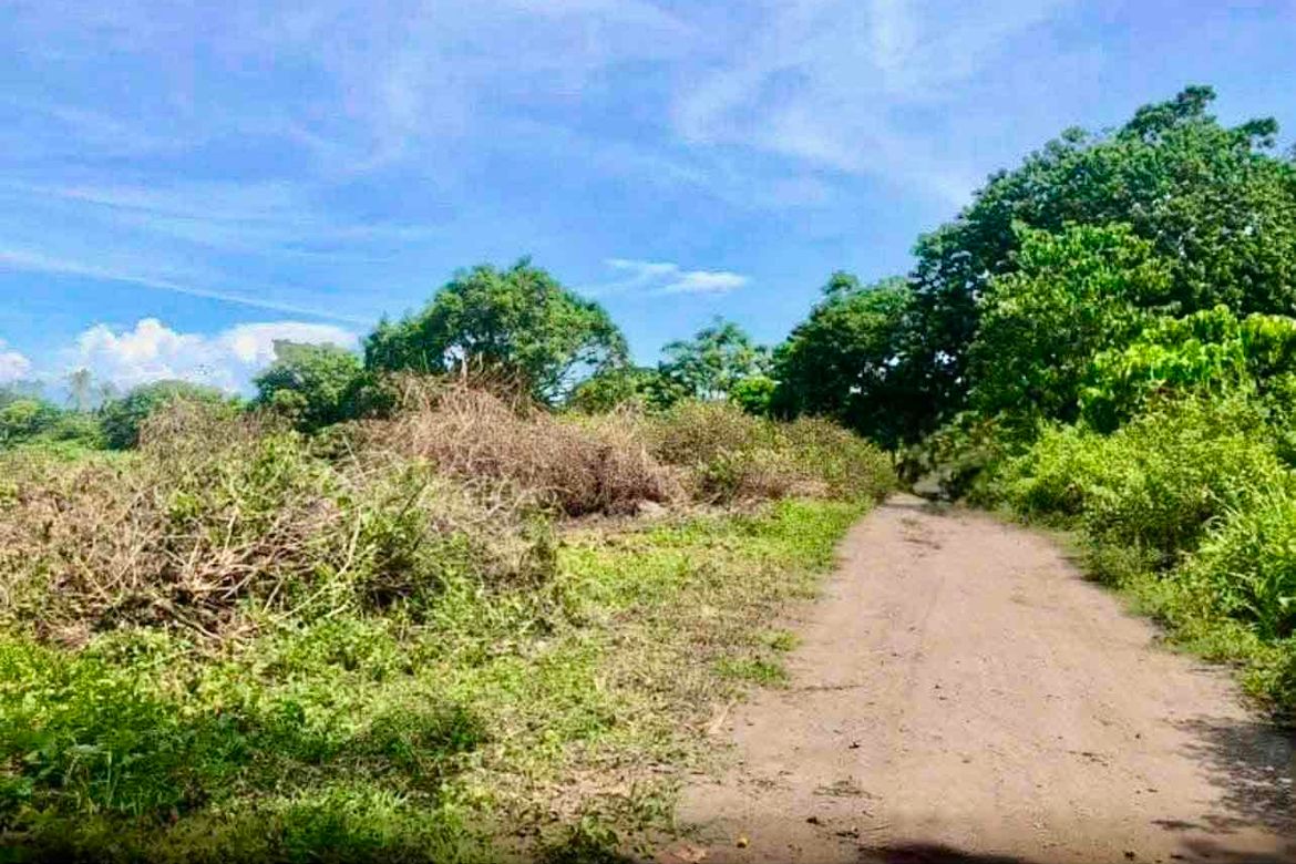 Land for Sale in Bagacay, Dauin, Negros Oriental