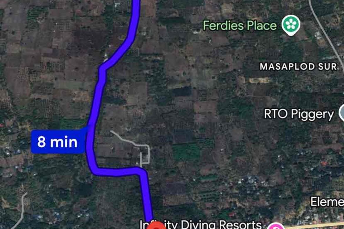 Land for Sale in Bagacay, Dauin, Negros Oriental – photo 2