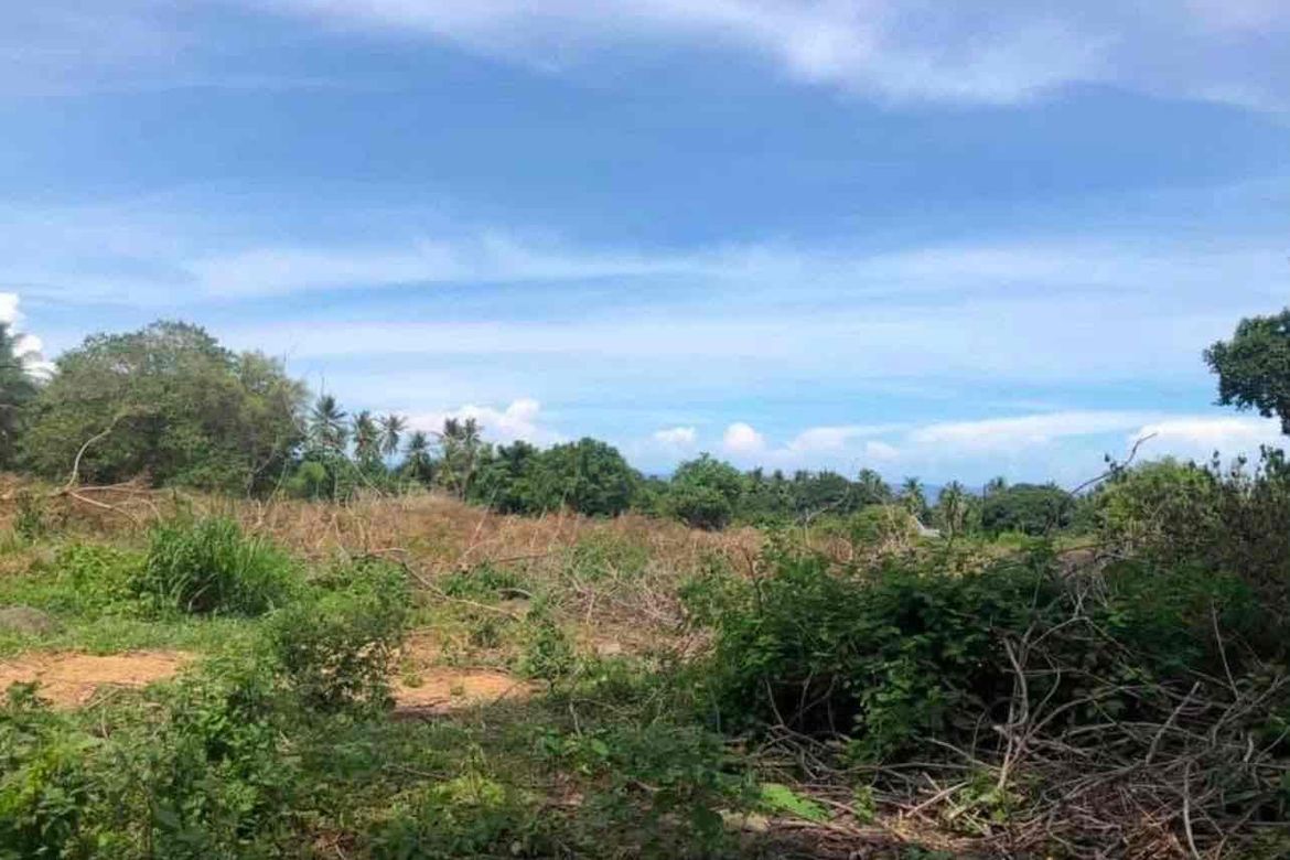 Land for Sale in Bagacay, Dauin, Negros Oriental – photo 3
