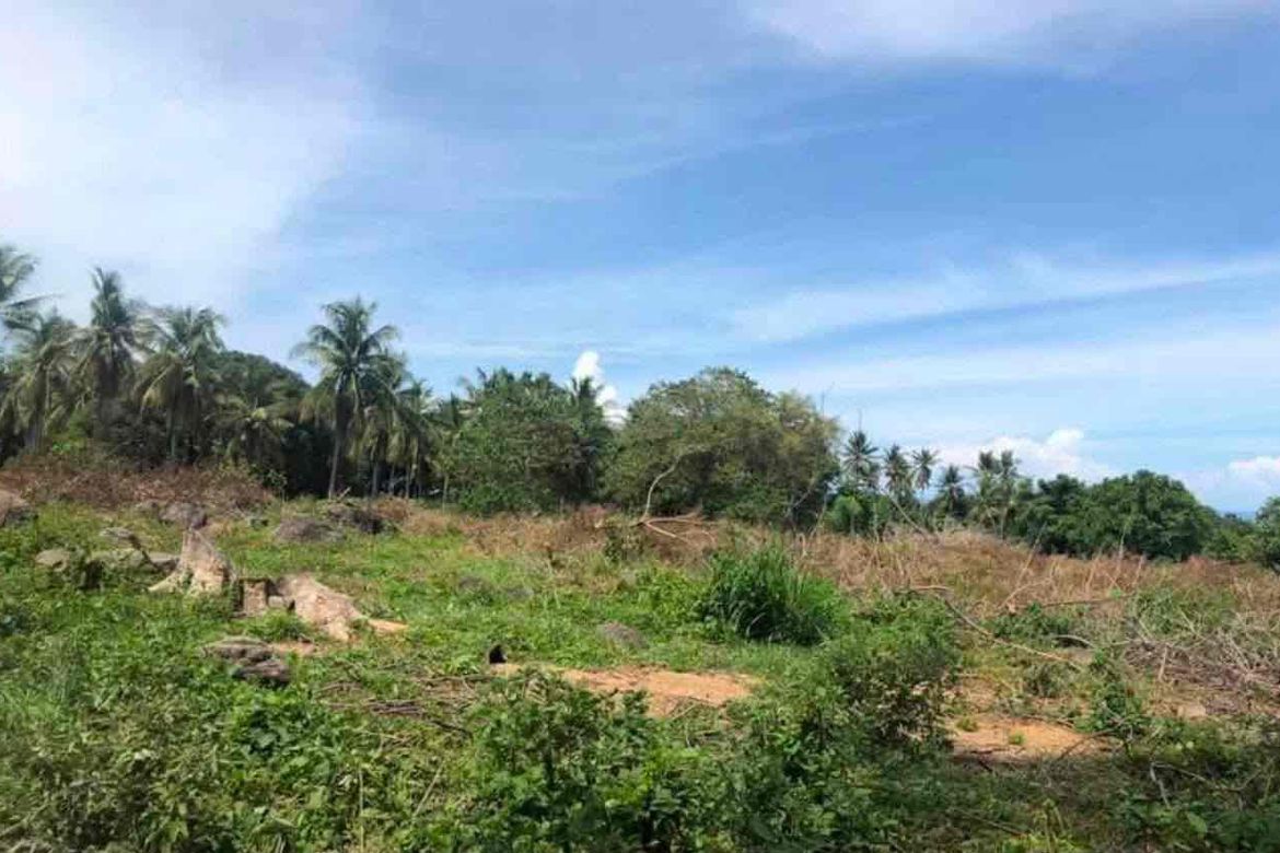 Land for Sale in Bagacay, Dauin, Negros Oriental – photo 4