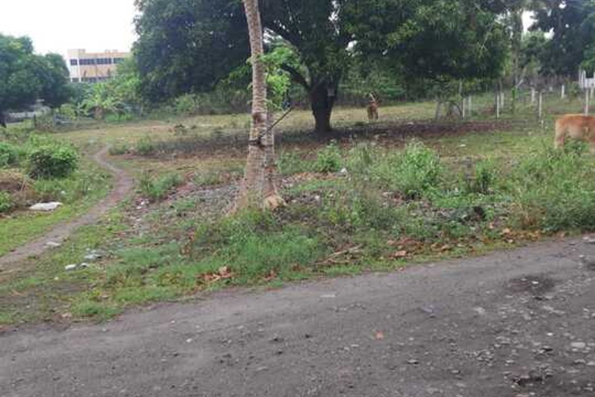 Land for Sale in Bagacay, Dumaguete, Negros Oriental – photo 2