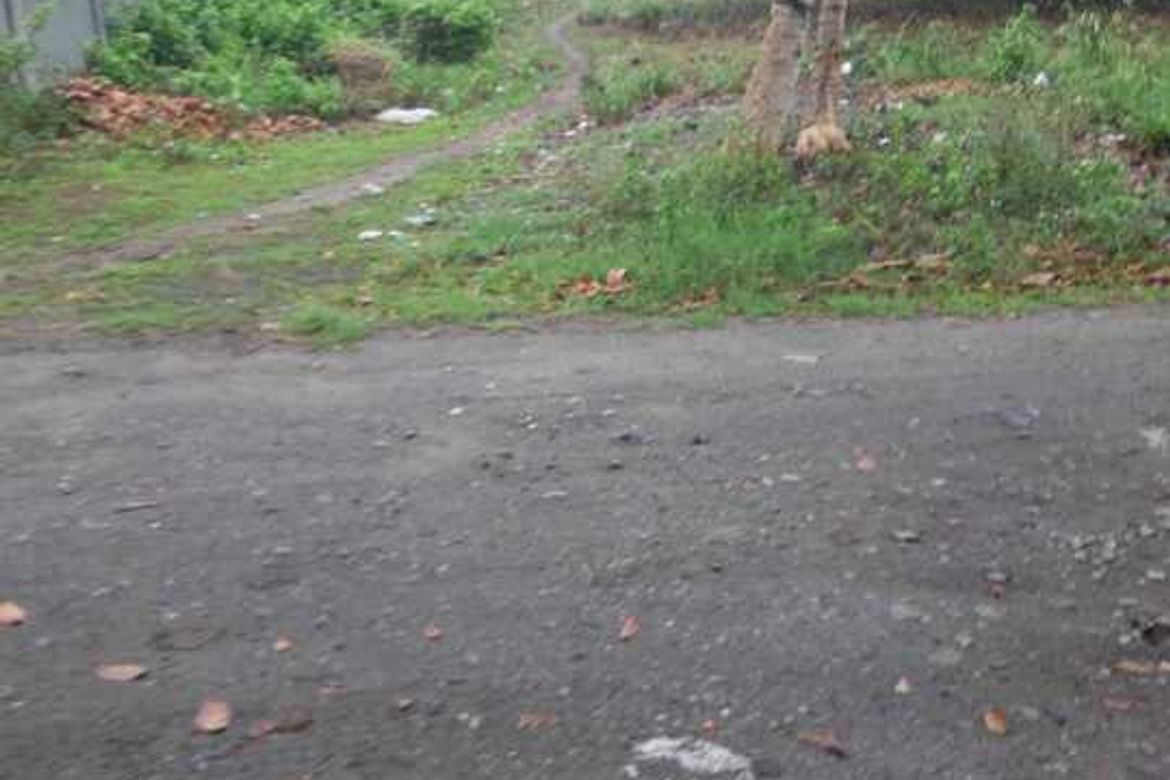 Land for Sale in Bagacay, Dumaguete, Negros Oriental – photo 3