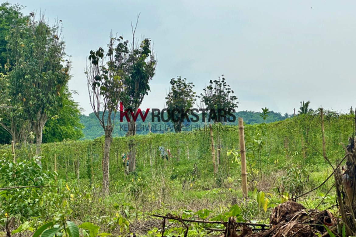 Land for Sale in Bagbag, Tanauan, Batangas – photo 2