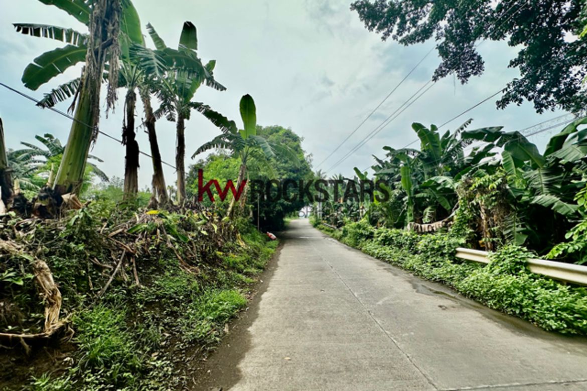 Land for Sale in Bagbag, Tanauan, Batangas – photo 3