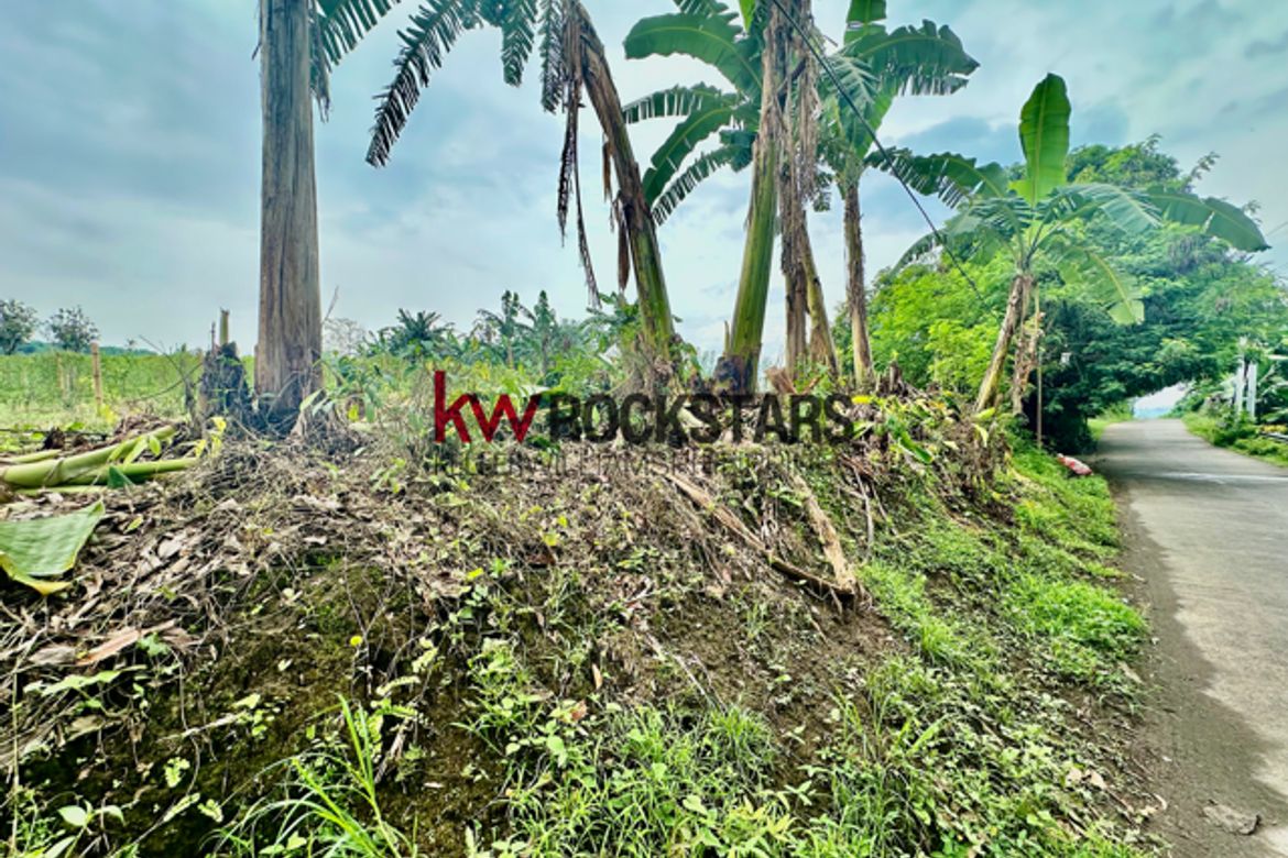 Land for Sale in Bagbag, Tanauan, Batangas – photo 4