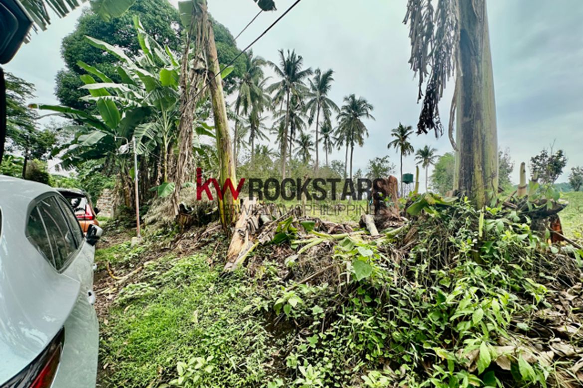 Land for Sale in Bagbag, Tanauan, Batangas – photo 5