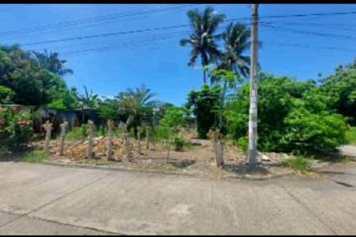 Land for Sale in Bago Aplaya, Davao City, Davao del Sur
