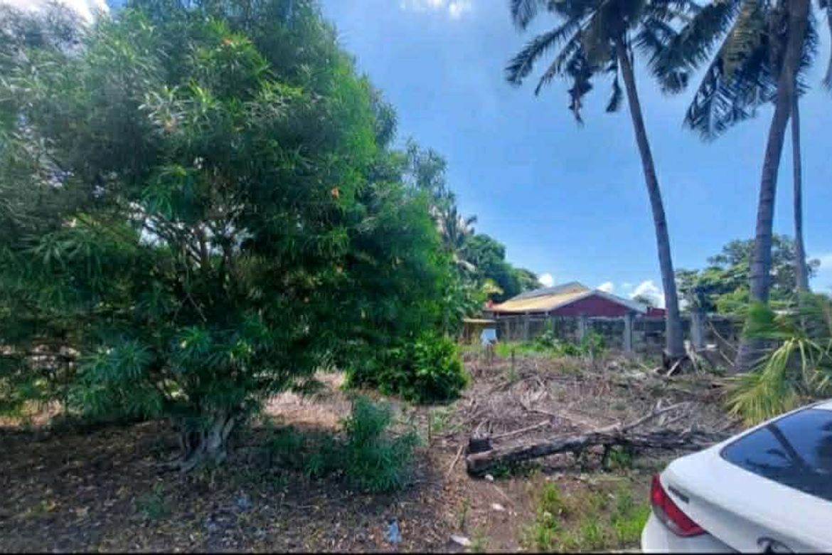 Land for Sale in Bago Aplaya, Davao City, Davao del Sur – photo 2