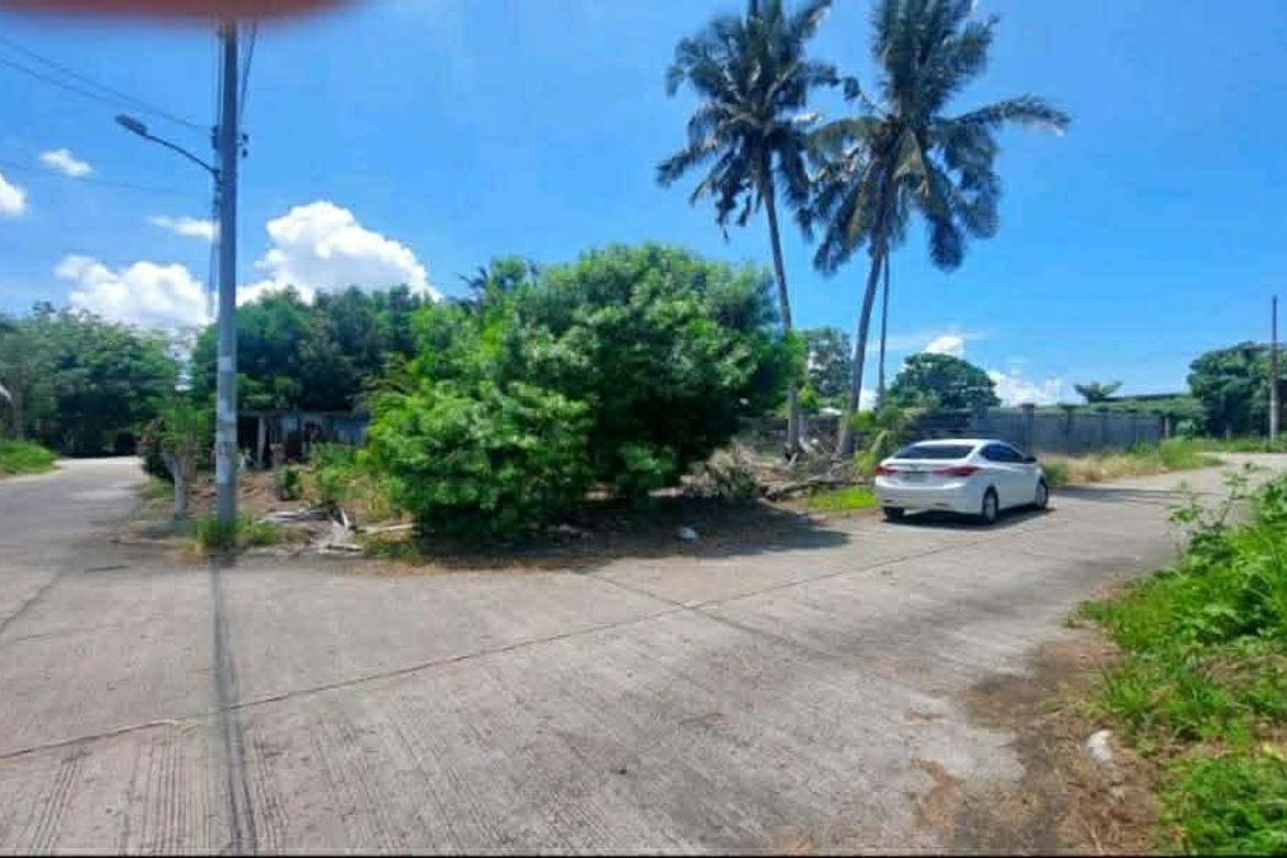Land for Sale in Bago Aplaya, Davao City, Davao del Sur – photo 4