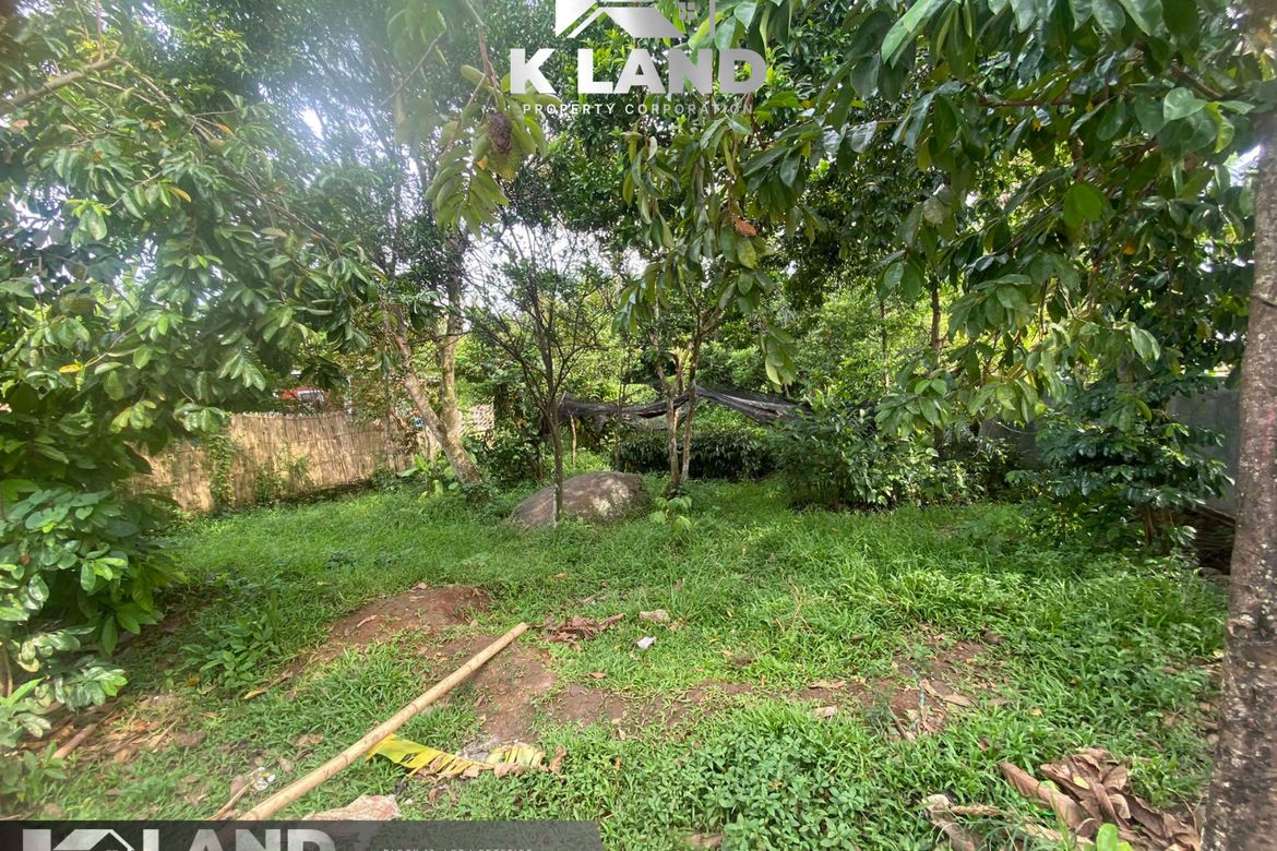 Land for Sale in Bago Oshiro, Davao City, Davao del Sur – photo 3