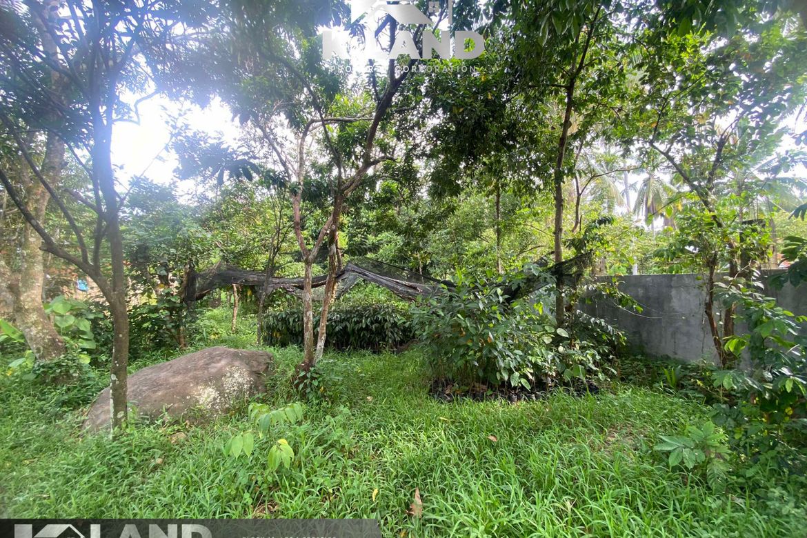 Land for Sale in Bago Oshiro, Davao City, Davao del Sur – photo 5