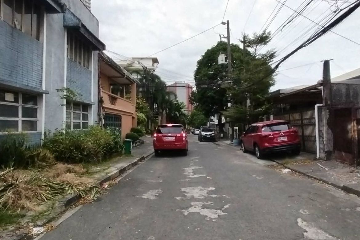 Land for Sale in Bagong Ilog, Pasig, Metro Manila – photo 3