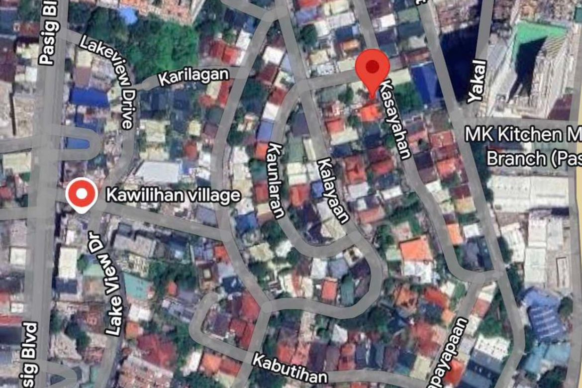 Land for Sale in Bagong Ilog, Pasig, Metro Manila – photo 4