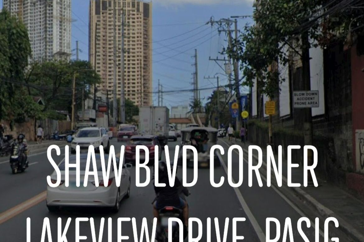 Land for Sale in Bagong Ilog, Pasig, Metro Manila