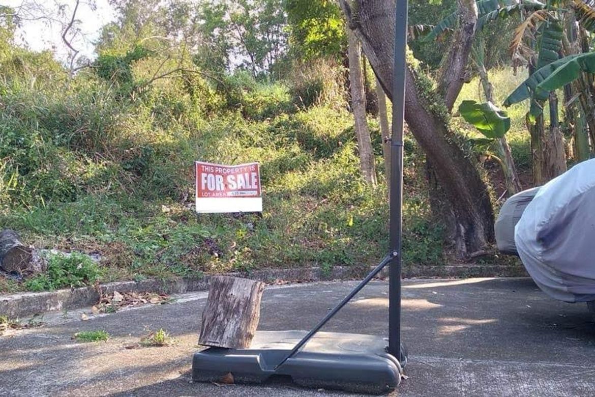 Land for Sale in Bagong Nayon, Antipolo, Rizal – photo 2