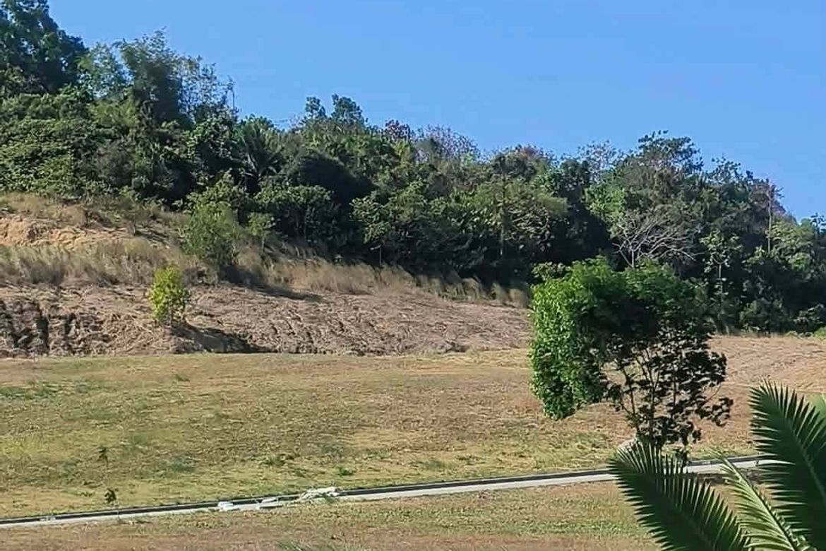 Land for Sale in Bagong Nayon, Antipolo, Rizal – photo 3