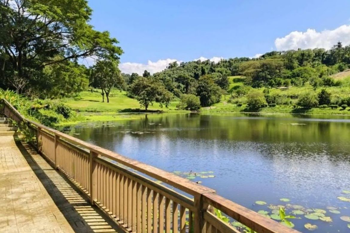 Land for Sale in Bagong Nayon, Antipolo, Rizal – photo 2