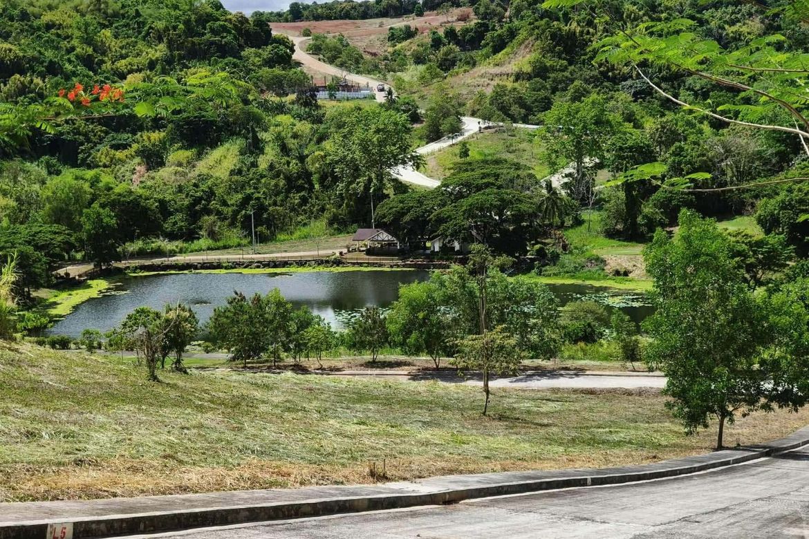 Land for Sale in Bagong Nayon, Antipolo, Rizal – photo 6