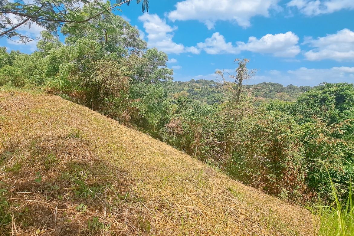 Land for Sale in Bagong Nayon, Antipolo, Rizal – photo 2