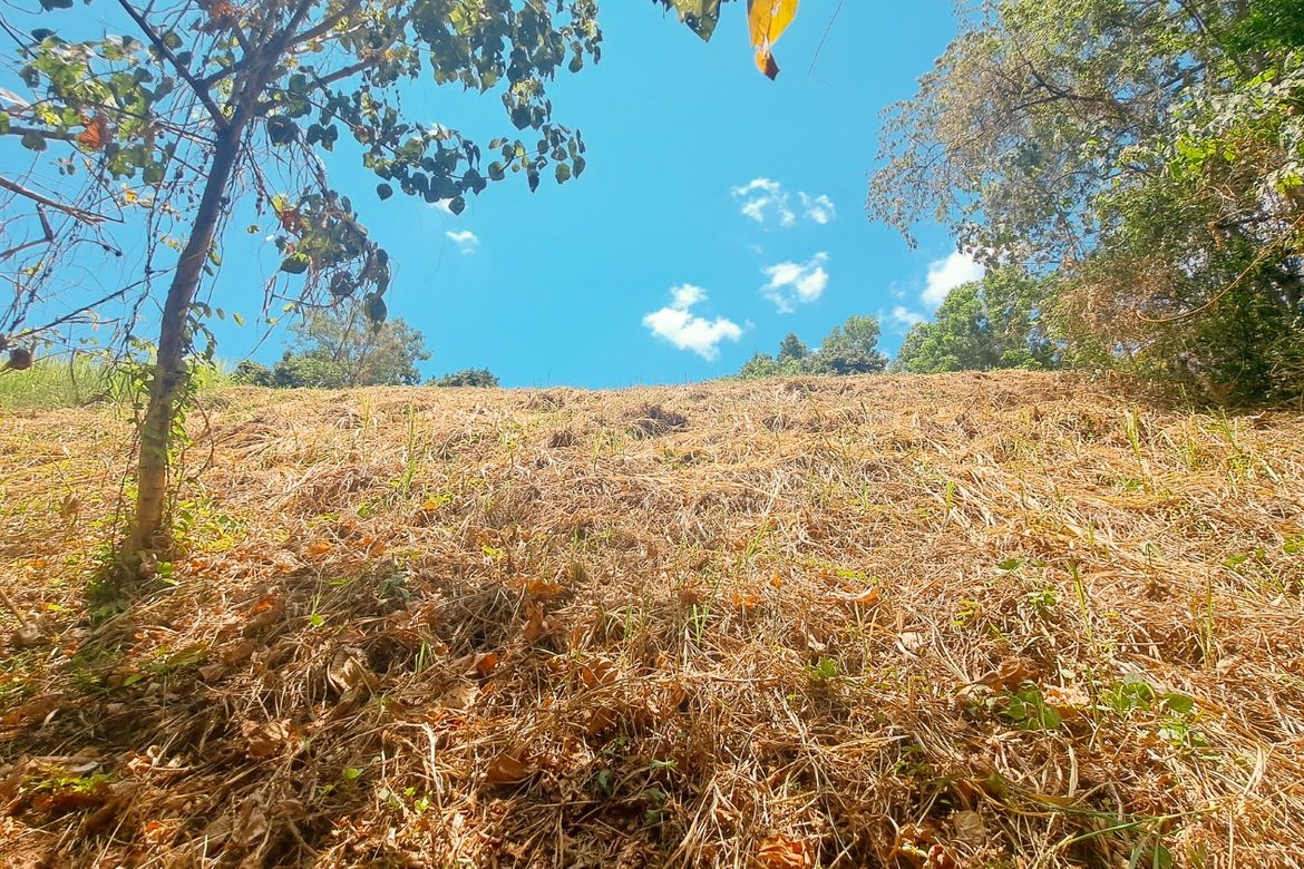 Land for Sale in Bagong Nayon, Antipolo, Rizal – photo 5