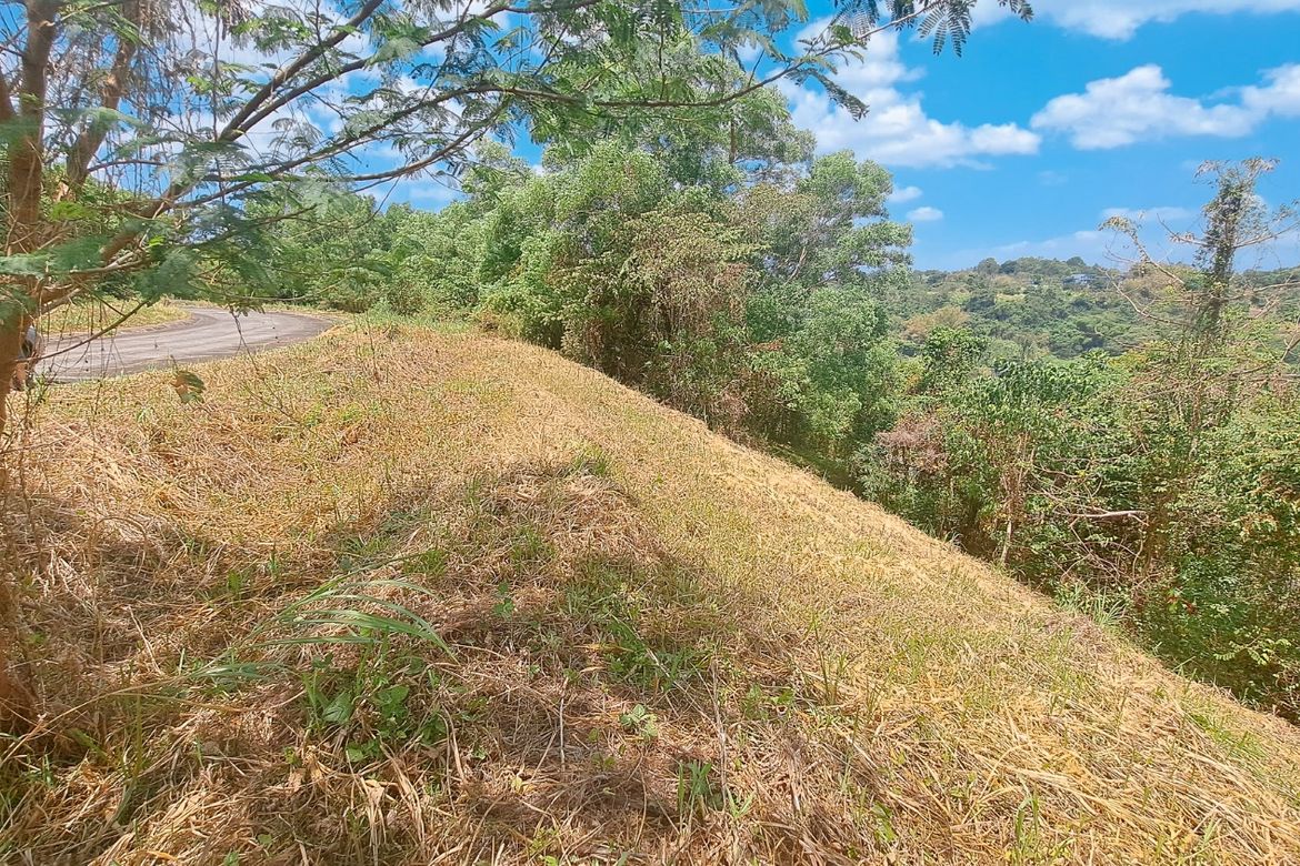Land for Sale in Bagong Nayon, Antipolo, Rizal – photo 7