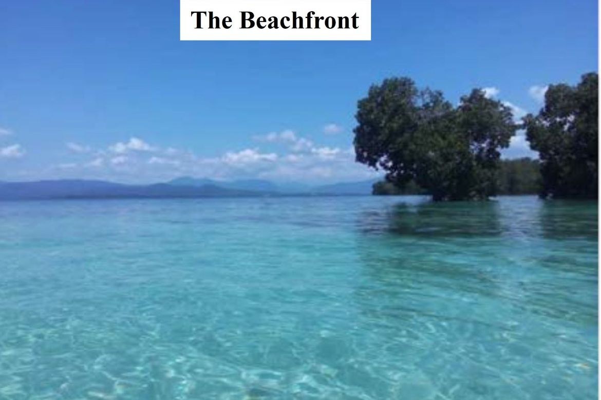 Land for Sale in Bagong Sikat, Puerto Princesa, Palawan