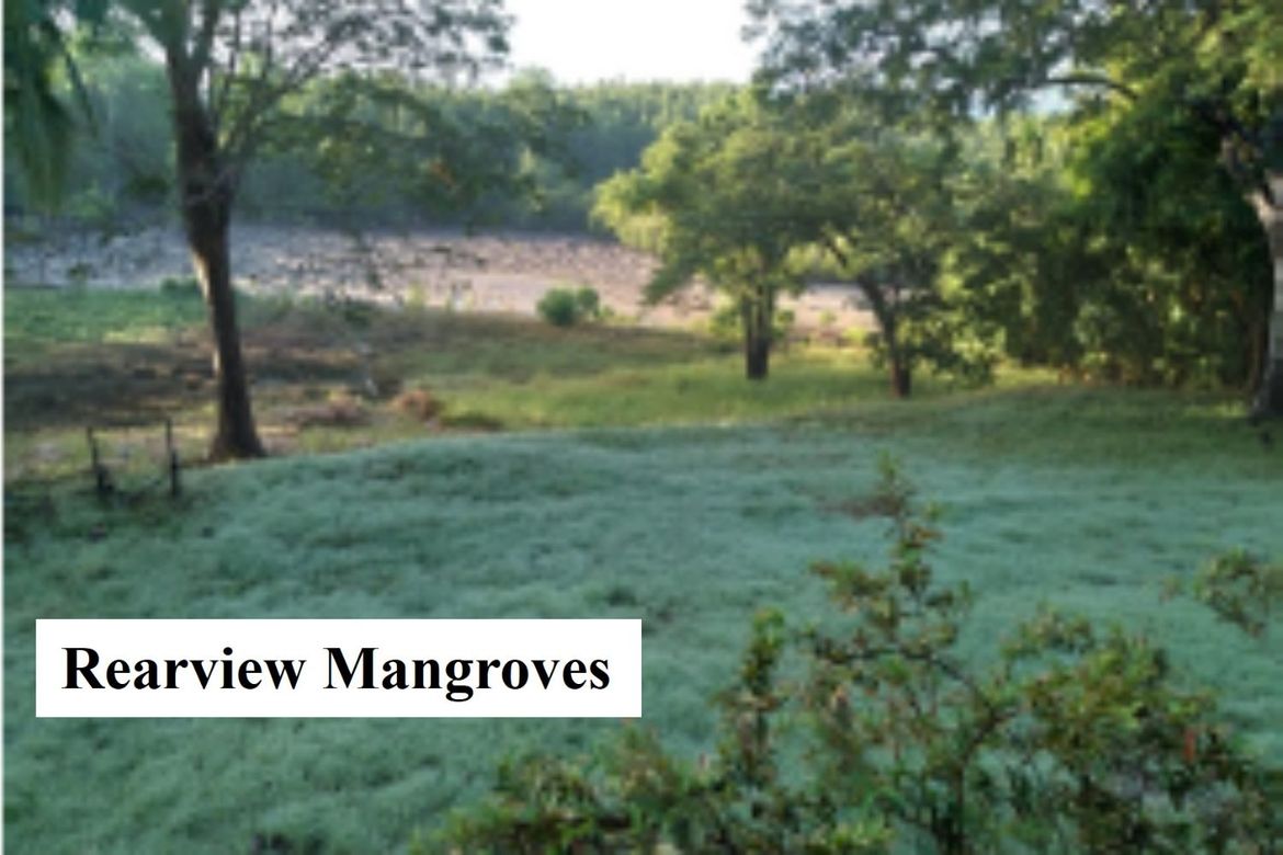 Land for Sale in Bagong Sikat, Puerto Princesa, Palawan – photo 4