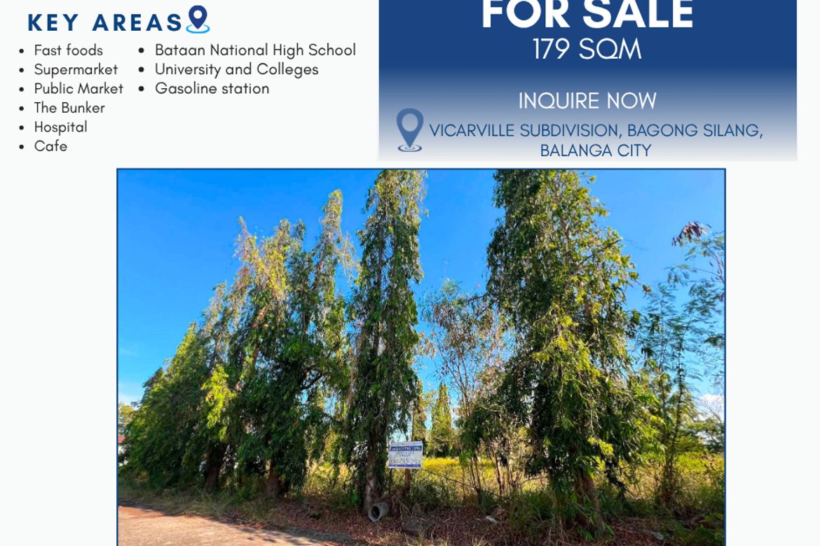 Land for Sale in Bagong Silang, Balanga, Bataan