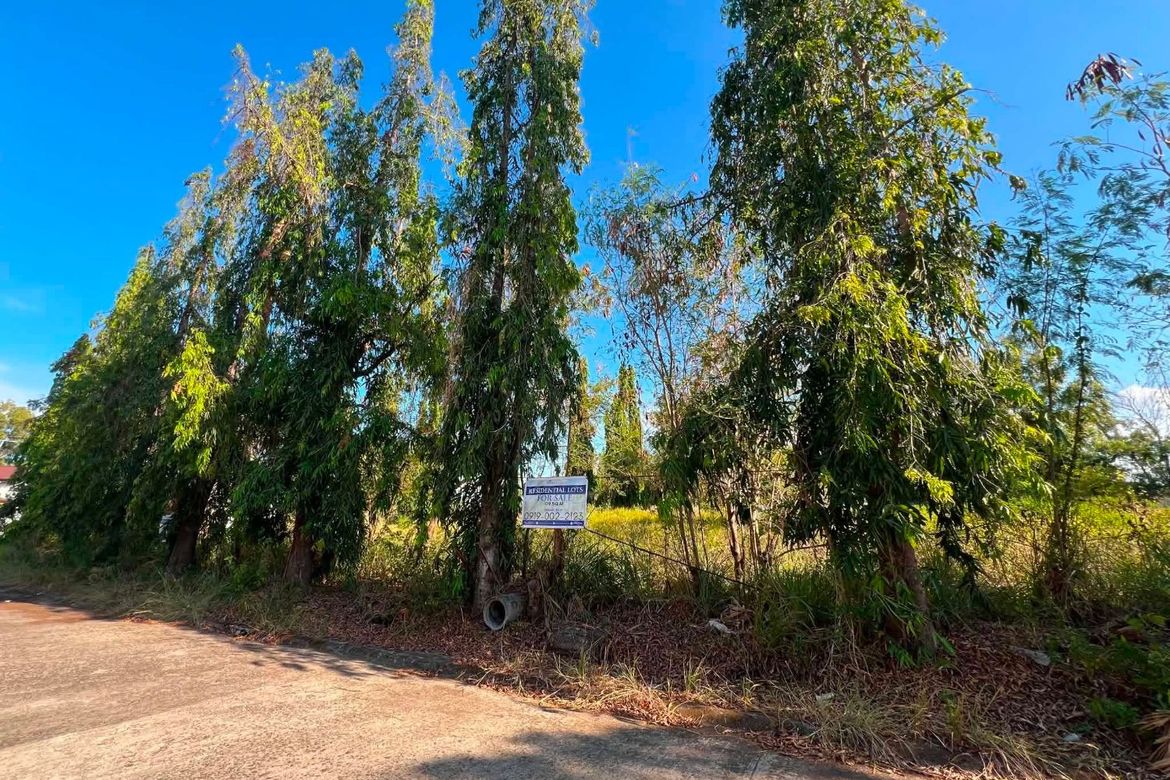 Land for Sale in Bagong Silang, Balanga, Bataan – photo 4