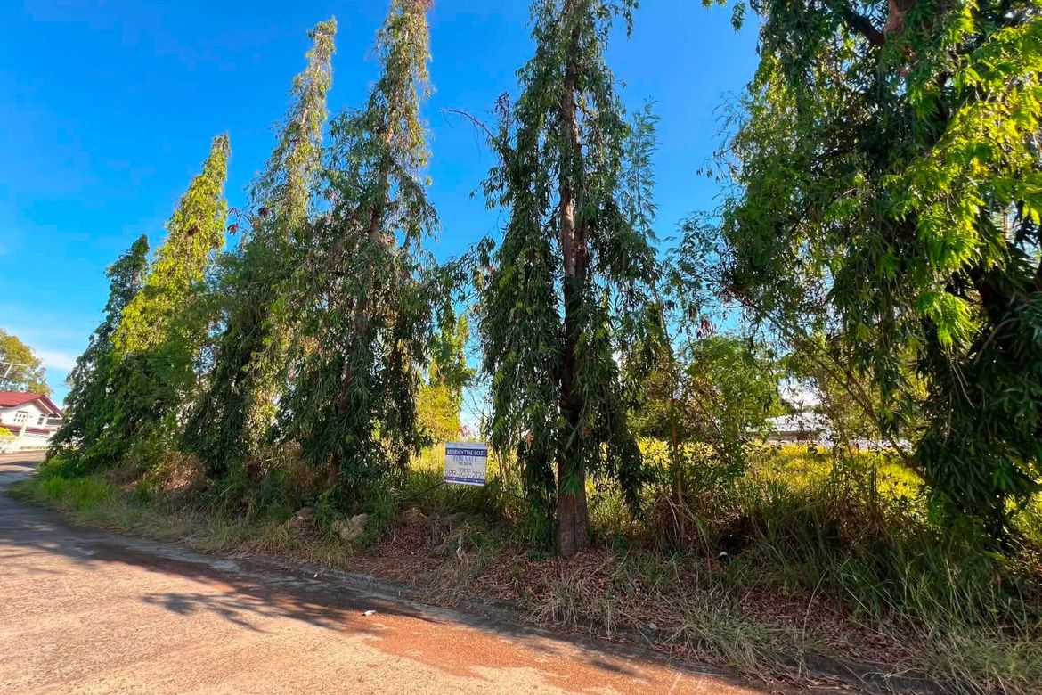 Land for Sale in Bagong Silang, Balanga, Bataan – photo 5